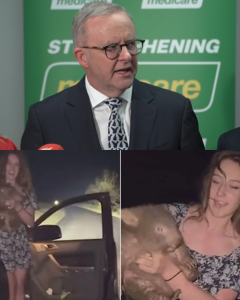 Baby Wombat Caught by US Influencer and Australian Prime minister reaction over it.